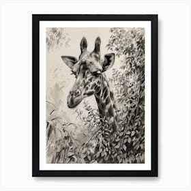 Pencil Portrait Of Giraffe In The Leaves 4 Art Print