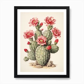 Vintage Cactus Illustration Crown Of Thorns Cactus 1 Art Print