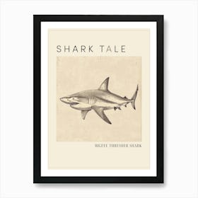 Bigeye Thresher Shark Vintage Illustration 4 Poster Art Print