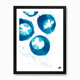 Blue Poppy Circles Art Print