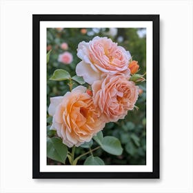 English Roses Painting Vintage Style 3 Art Print