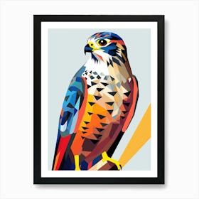 Colourful Geometric Bird Falcon 4 Art Print