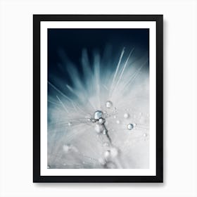 Dandelion - Evening Blue II Art Print