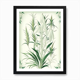 White Willow Herb Vintage Botanical Art Print
