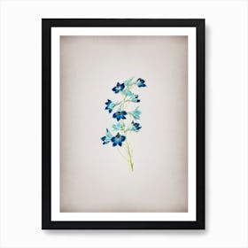 Vintage Shewy Delphinium Flower Botanical on Parchment n.0828 Art Print