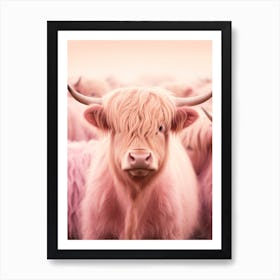 Pink Realistic Photography Of Highland Cows 1 Art Print