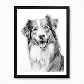 Australian Shepherd Dog, Line Drawing 2 Art Print