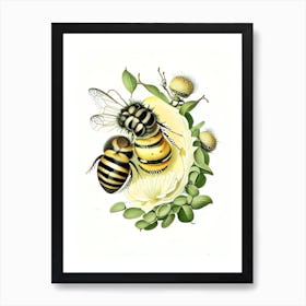 Larva Bees 1 Vintage Art Print