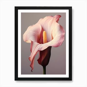 Floral Illustration Calla Lily 2 Art Print