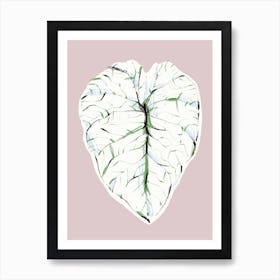 The Plant Series Alocasia Melo Light Art Print