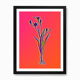 Neon Ixia Bulbifera Botanical in Hot Pink and Electric Blue n.0260 Art Print