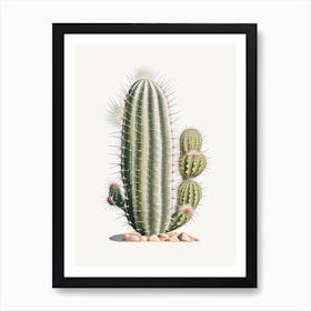 Stenocactus Cactus Marker Art 2 Art Print