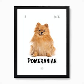 Pomeranian - Dog - Polish - Typography - Art Print - Retro - Canine - White & Black - Minimalist  Art Print