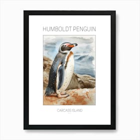 Humboldt Penguin Carcass Island Watercolour Painting 3 Poster Art Print