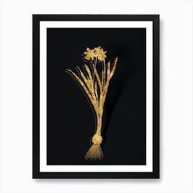 Vintage Lesser Wild Daffodil Botanical in Gold on Black n.0238 Art Print