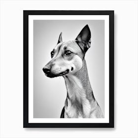 Miniature Pinscher B&W Pencil Dog Art Print