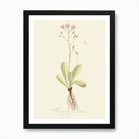 Pink Hibiscus 2 Art Print