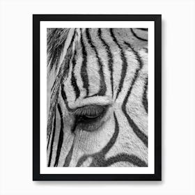 Zebra Eyelash Art Print