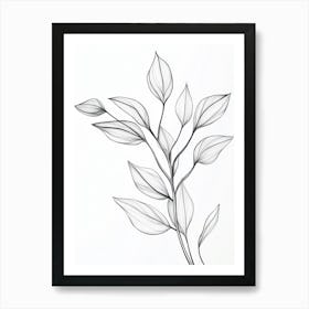 Drawing Of A Leaf 1 Art Print