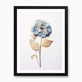 Pressed Flower Botanical Art Hydrangea 2 Art Print