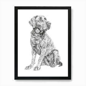 Chesapeake Bay Retriever Sketch 4 Art Print