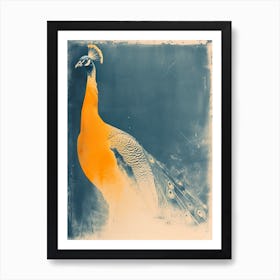 Navy Blue & Orange Vintage Photo Peacock Art Print