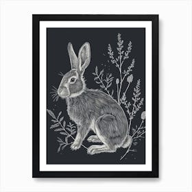 Beveren Rabbit Minimalist Illustration 2 Art Print