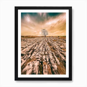 Tree And Causeway Art Print