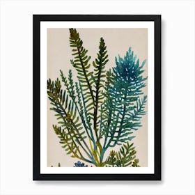 Acropora Hoeksemai Vintage Graphic Watercolour Art Print