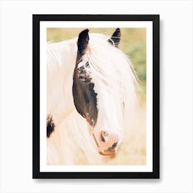 Paint Horse In Sunshine Art Print