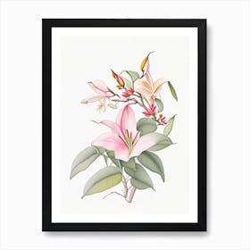 Mandevilla Floral Quentin Blake Inspired Illustration 2 Flower Art Print