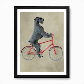 Schnauzer On Bicycle Art Print