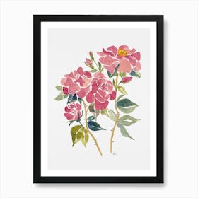 Watercolour Roses Art Print