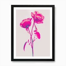 Hot Pink Rose 2 Art Print