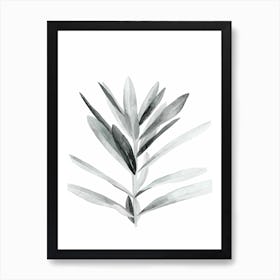 Succulent 22 Art Print