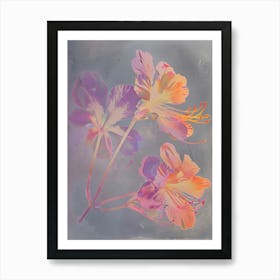 Iridescent Flower Peacock Flower 2 Art Print