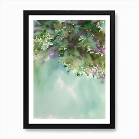 Acropora Tenella Storybook Watercolour Art Print