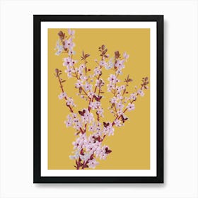 Cherry Blossoms 3 Art Print