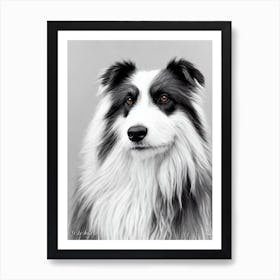 Polish Lowland Sheepdog B&W Pencil Dog Art Print