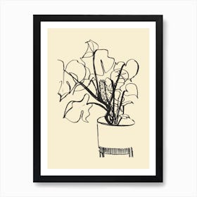 Monstera Swiss Cheese Plant Potted Plant Art Print