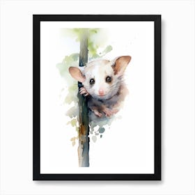 Light Watercolor Painting Of A Hanging Possum 1 Art Print