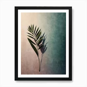 Shadow Of A Palm Leaf Art Print