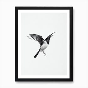 Raven B&W Pencil Drawing 4 Bird Art Print