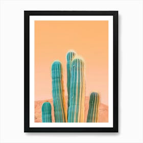 Cactus In The Desert 3 Art Print