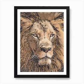 A Lion Head Close Up Art Print