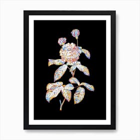 Stained Glass Agatha Rose in Bloom Mosaic Botanical Illustration on Black n.0050 Art Print
