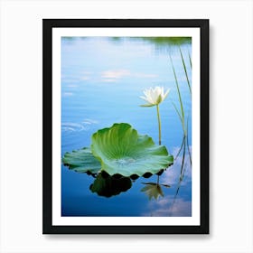 Macro Photography Of A Delicate Green Leaf Resting Upon The Surface Of A Tranquil Swedish Duck Pond 2 Art Print