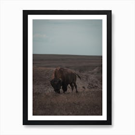 South Dakota Wildlife Art Print