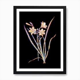 Stained Glass Daylily Mosaic Botanical Illustration on Black Art Print