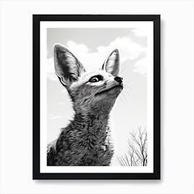 Bat Eared Fox Looking At The Sky Pencil Drawing 2 Art Print